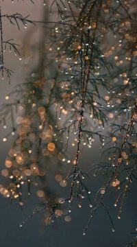 12 - 29f7c8d05e6d07cb594587a8cdbd3a02.jpg
