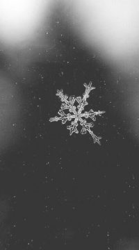 a0c5d9553c508561fe7ac667f7e30626--christmas-lights-wallpaper-iphone-wallpaper-christmas
