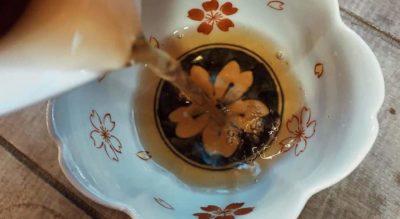 The Tea a Torino e la magia degli infusi