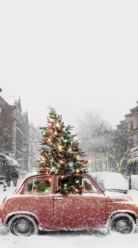 12 - tumblr_ny66c9IEJU1uz2510o2_500.png