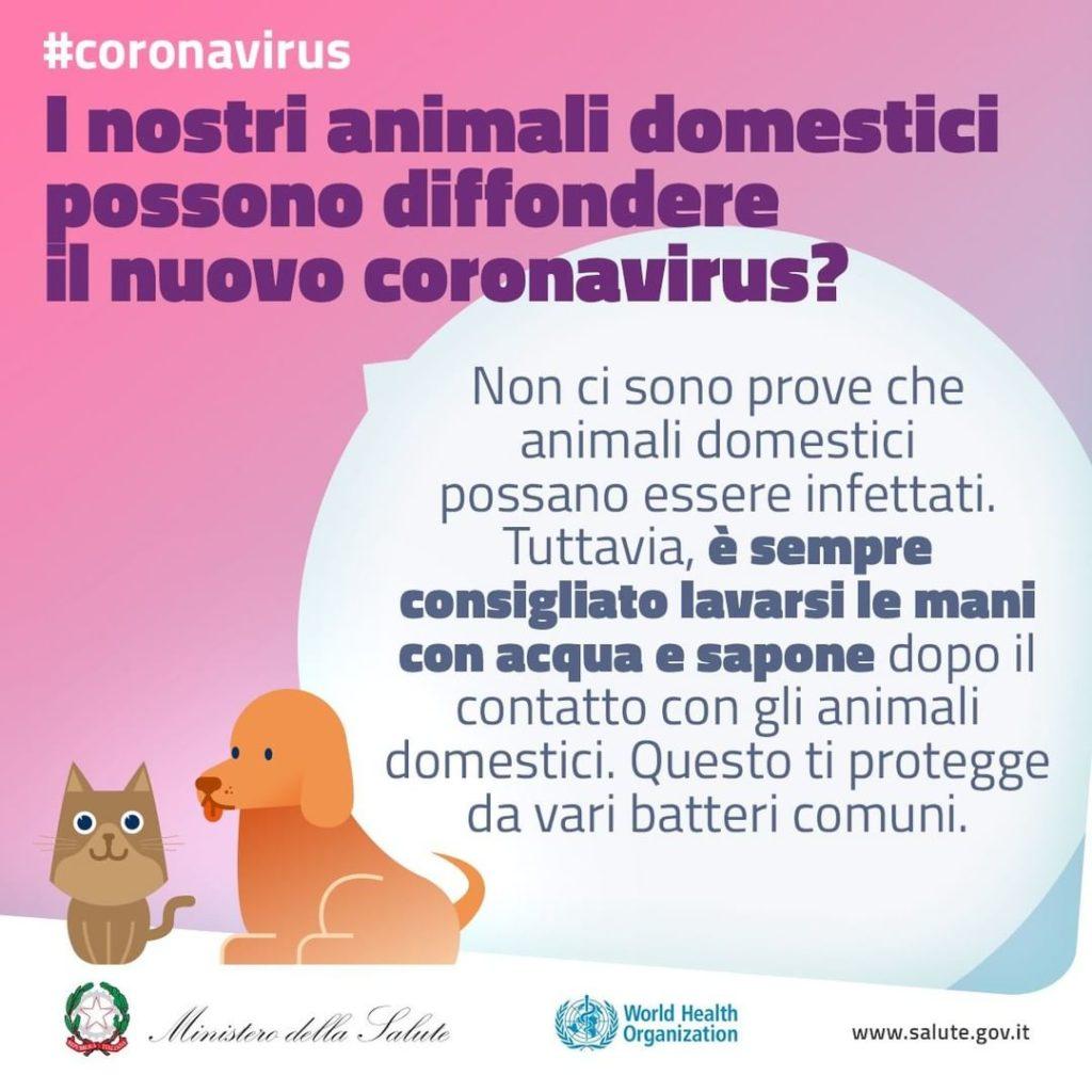 Fonte: Instagram - Ministero della Salute: gli animali diffondono il nuovo coronavirus?