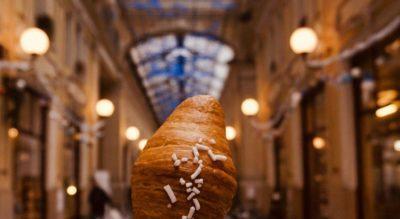Avocuddle Cafè a Torino