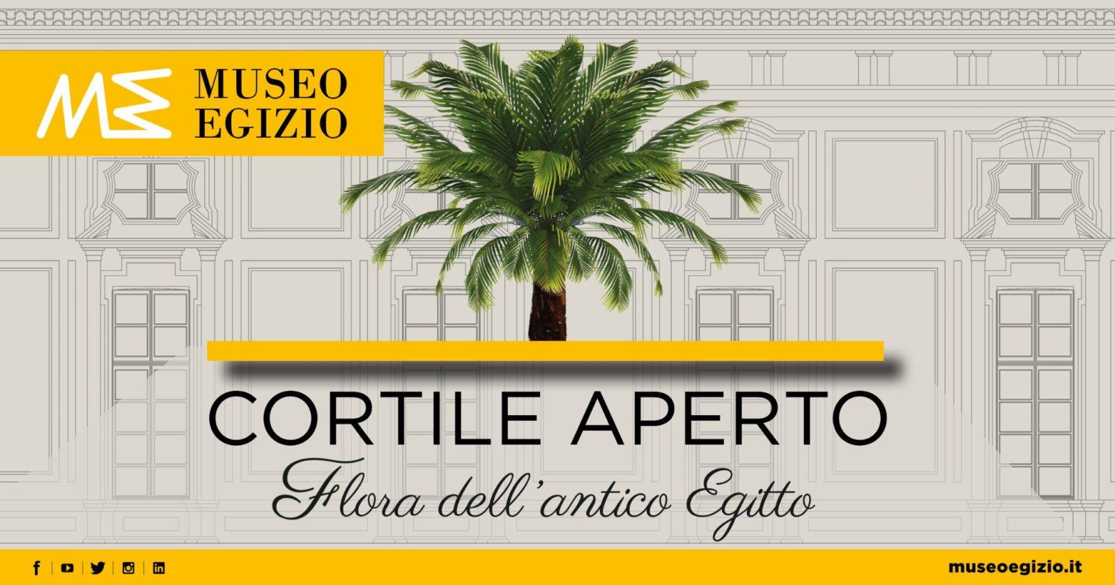 Flora dell’Antico Egitto - Museo Egizio di Torino