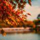 torino mese per mese: ottobre