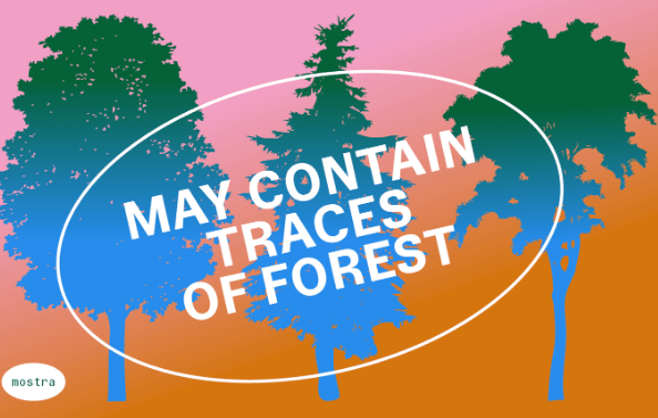 May Contain Traces of Forest - Circolo del Design di Torino