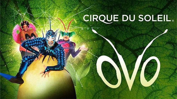 Ovo - Il Cirque du Soleil al Pala Alpitour di Torino
