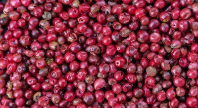 Ditta_Ceni - ceni1-min.jpg