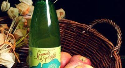 Frutto-permesso - frutto-permesso-min.jpg