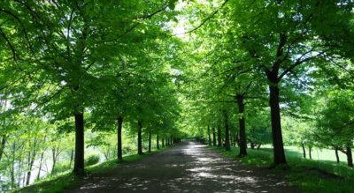 La-Colletta - 800px-Pista_ciclabile.jpg