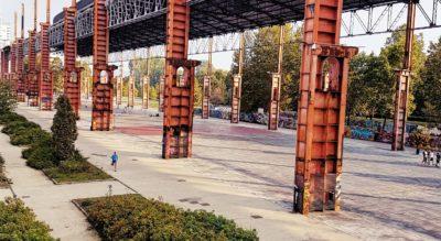Parco-Dora - parco-dora-torino.jpg