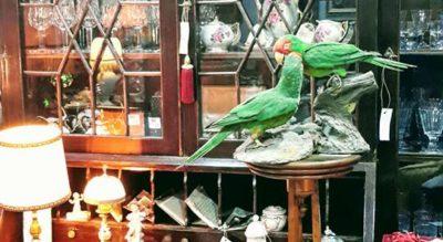 Torino_sottosopra - sottosopra-shop.jpg